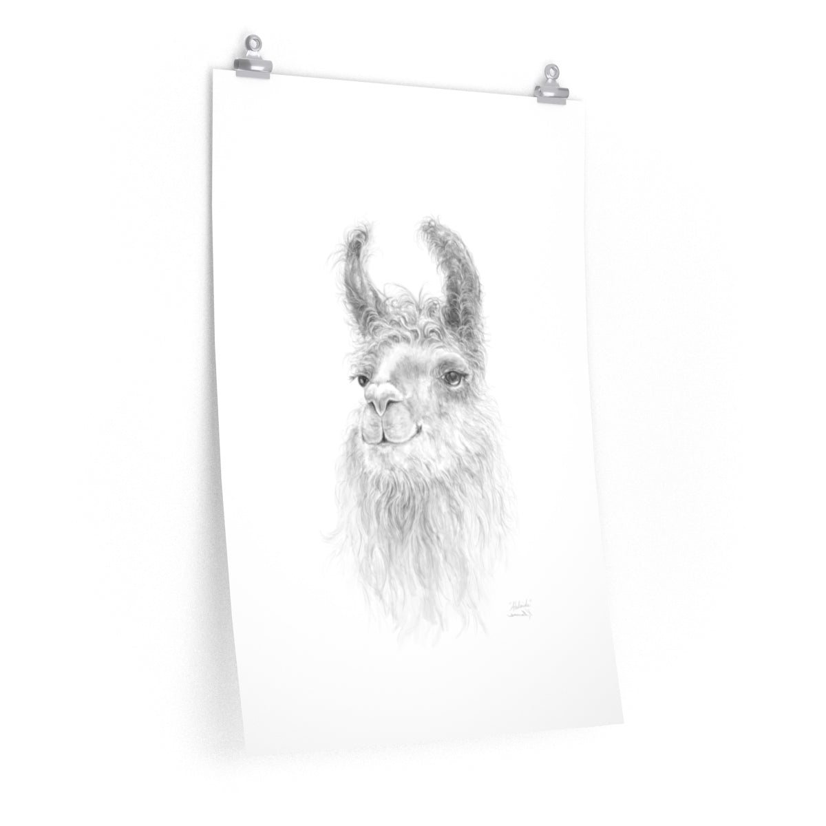 ADELAIDE Llama- Art Paper Print