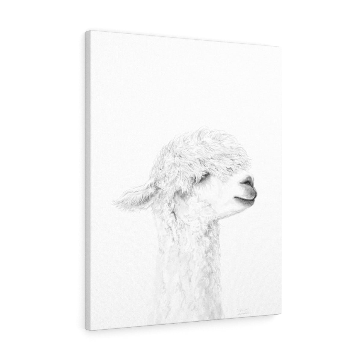 DANICA Llama - Art Canvas