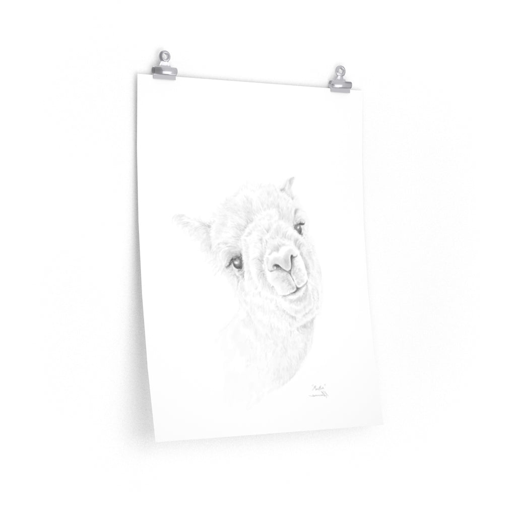 MARTHA Llama- Art Paper Print