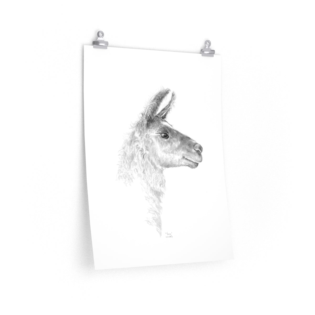 YVONNE Llama- Art Paper Print