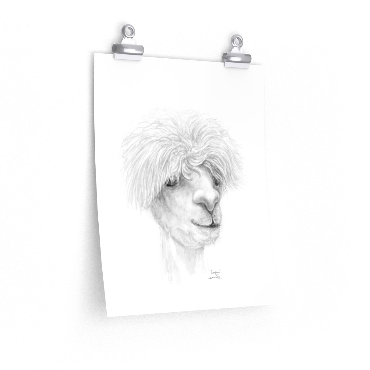 COOPER Llama- Art Paper Print