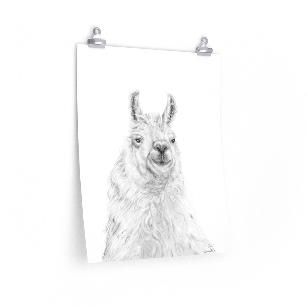 ART Llama- Art Paper Print