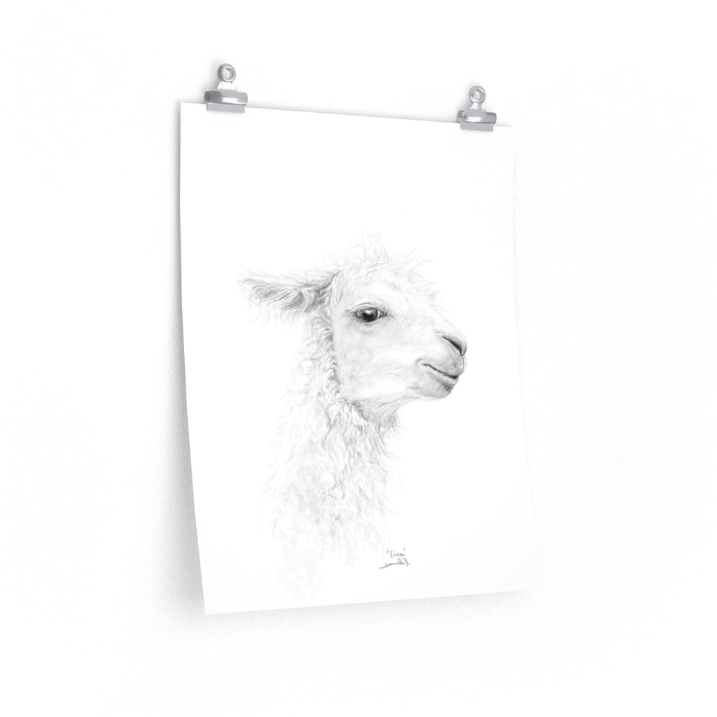 ERICA Llama- Art Paper Print