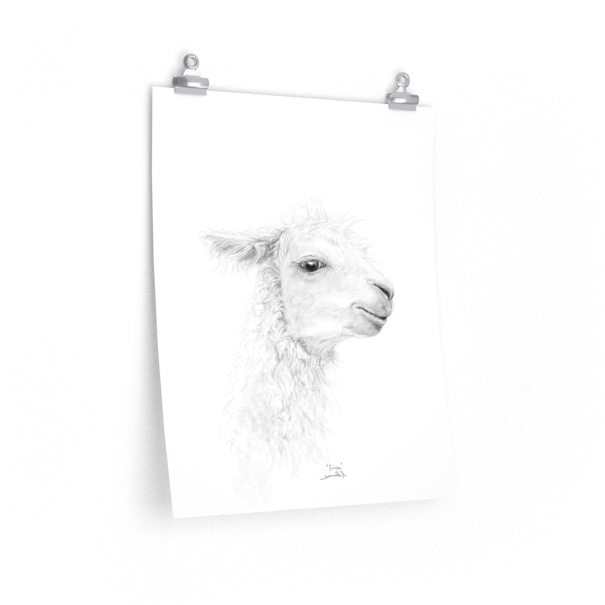 ERICA Llama- Art Paper Print