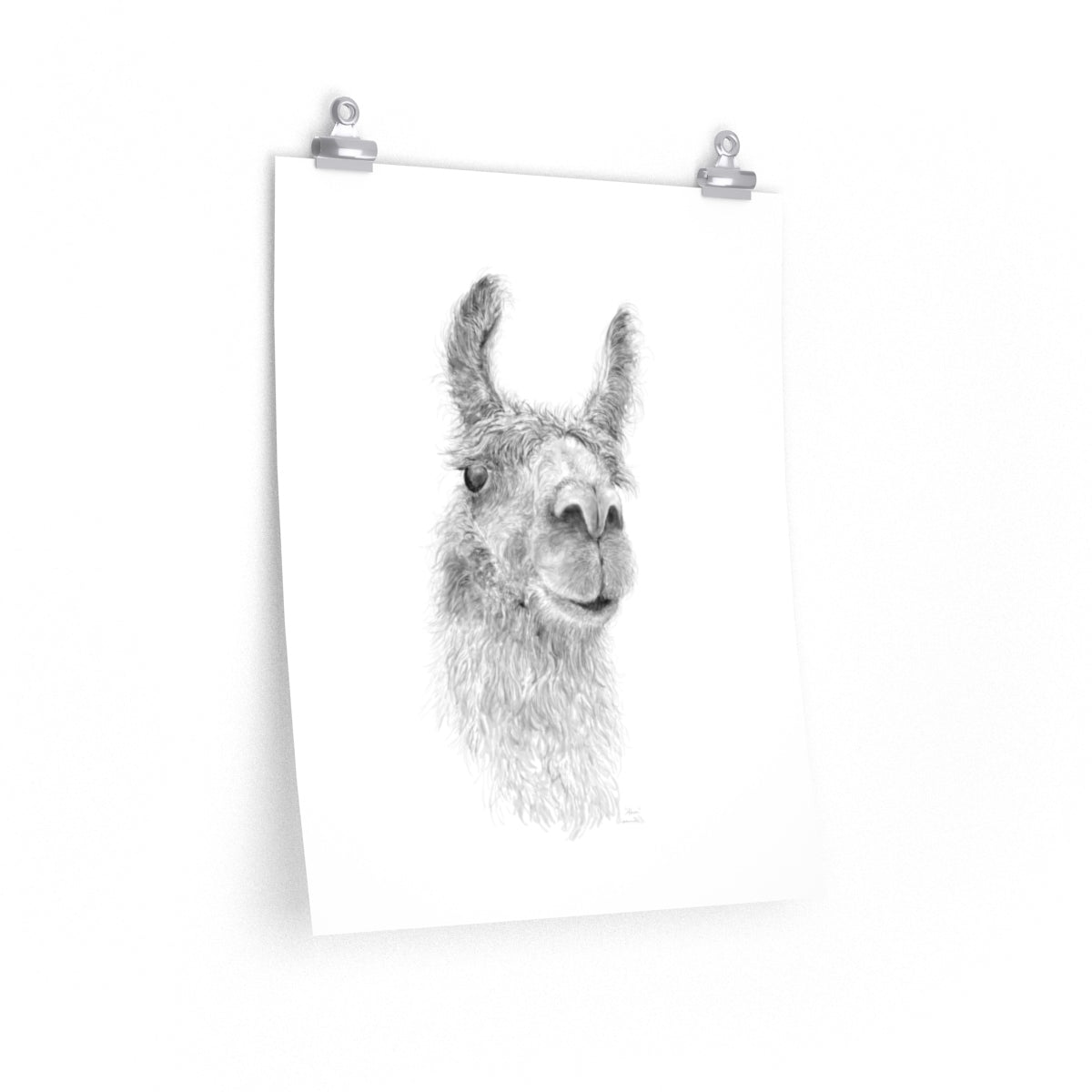 ADREA Llama- Art Paper Print