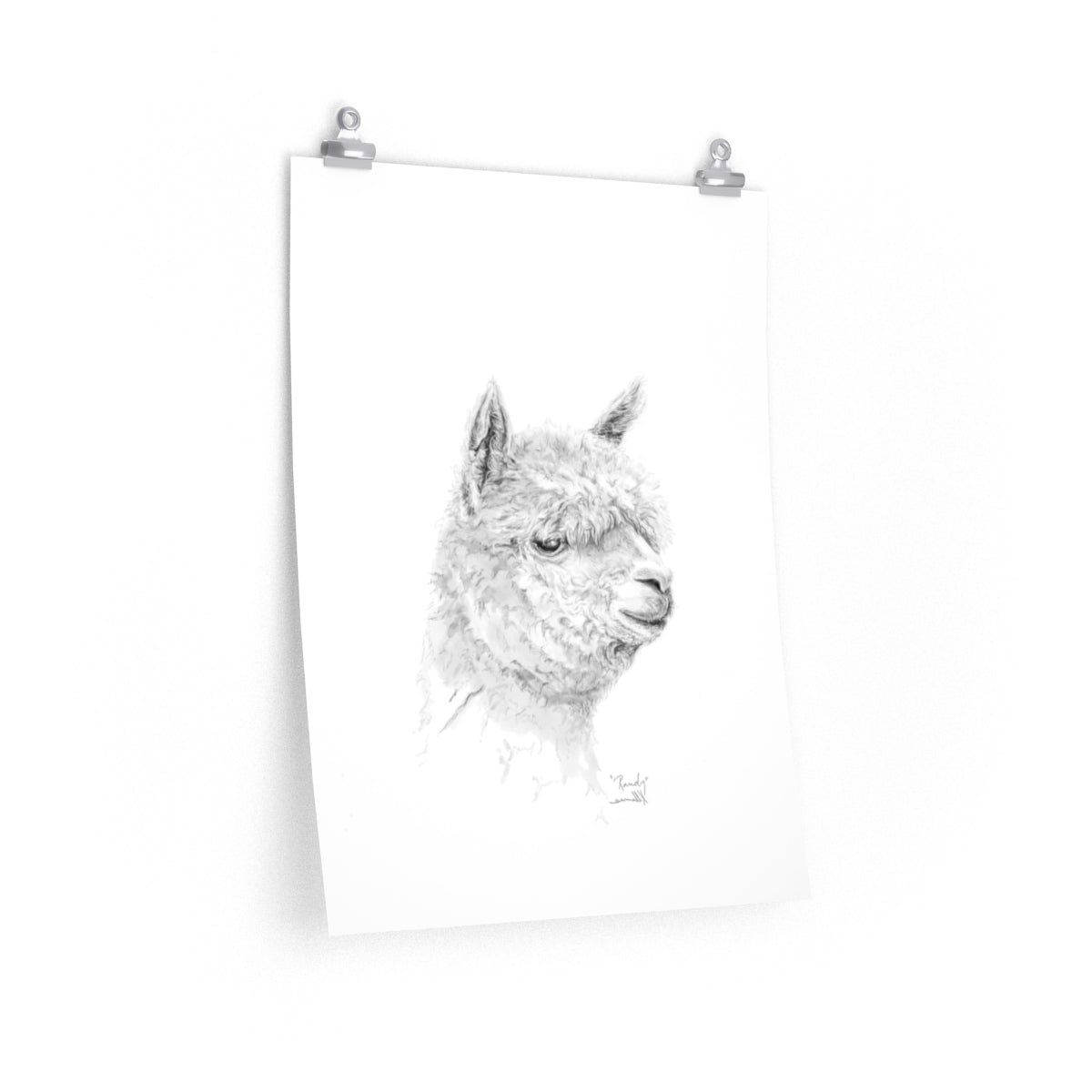 RANDY Llama- Art Paper Print