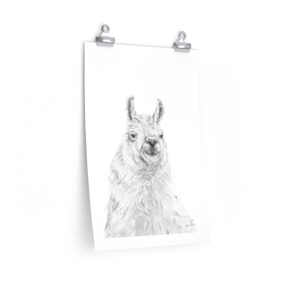 ART Llama- Art Paper Print