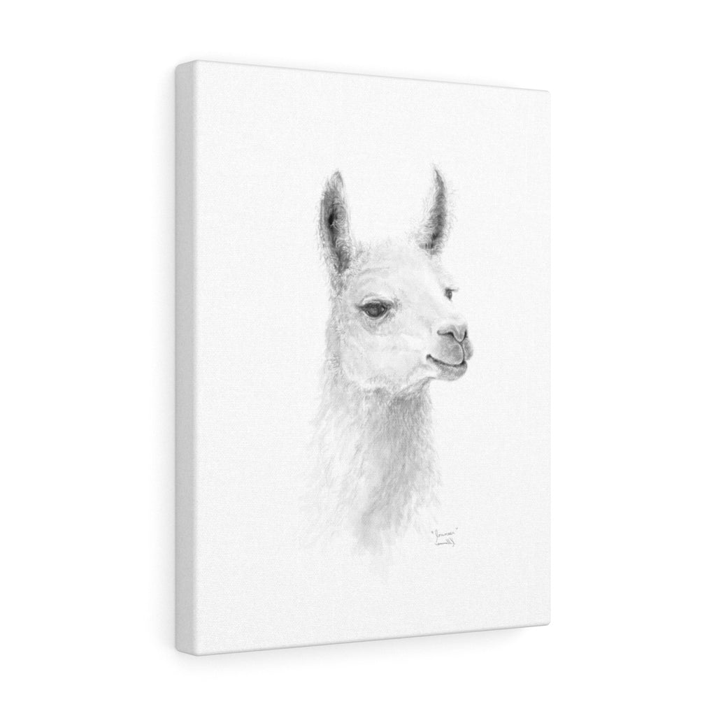 JOUNEER Llama - Art Canvas