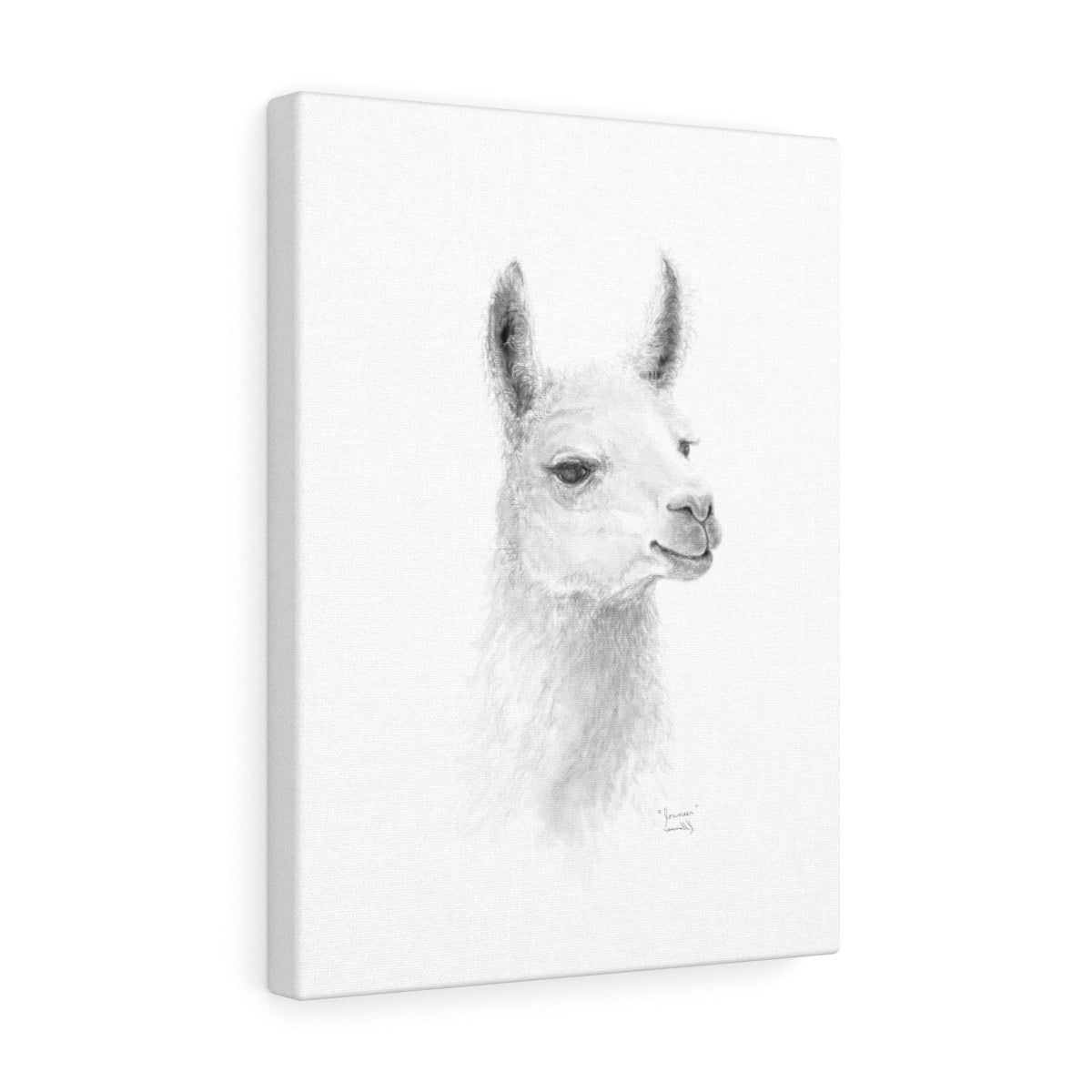 JOUNEER Llama - Art Canvas