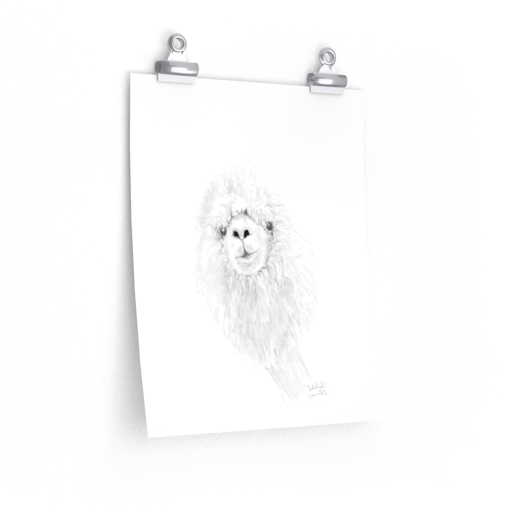 JEDADIAH Llama- Art Paper Print