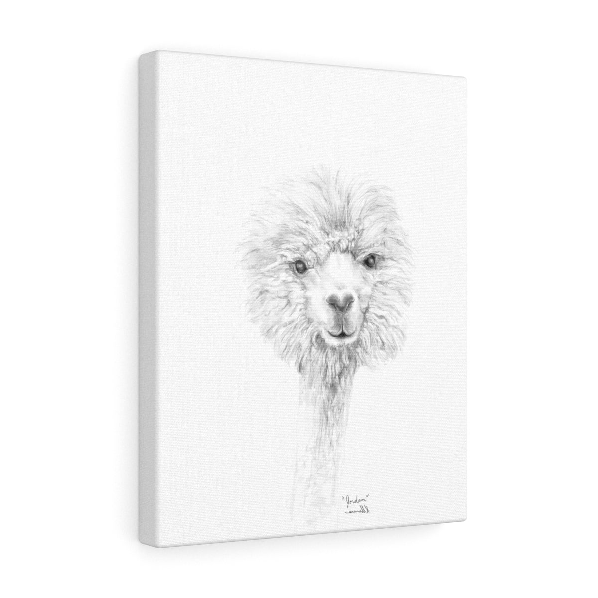 JORDAN Llama - Art Canvas