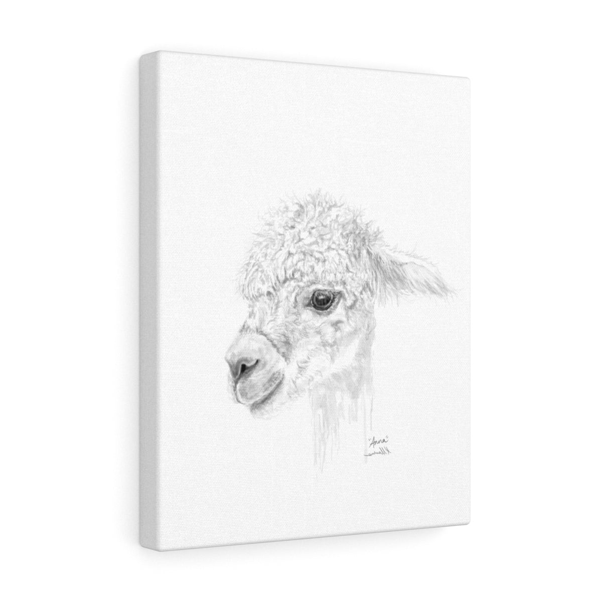 ANNA Llama - Art Canvas