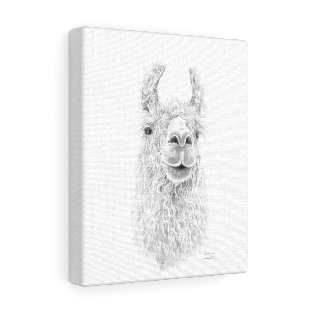 SABRINA Llama - Art Canvas