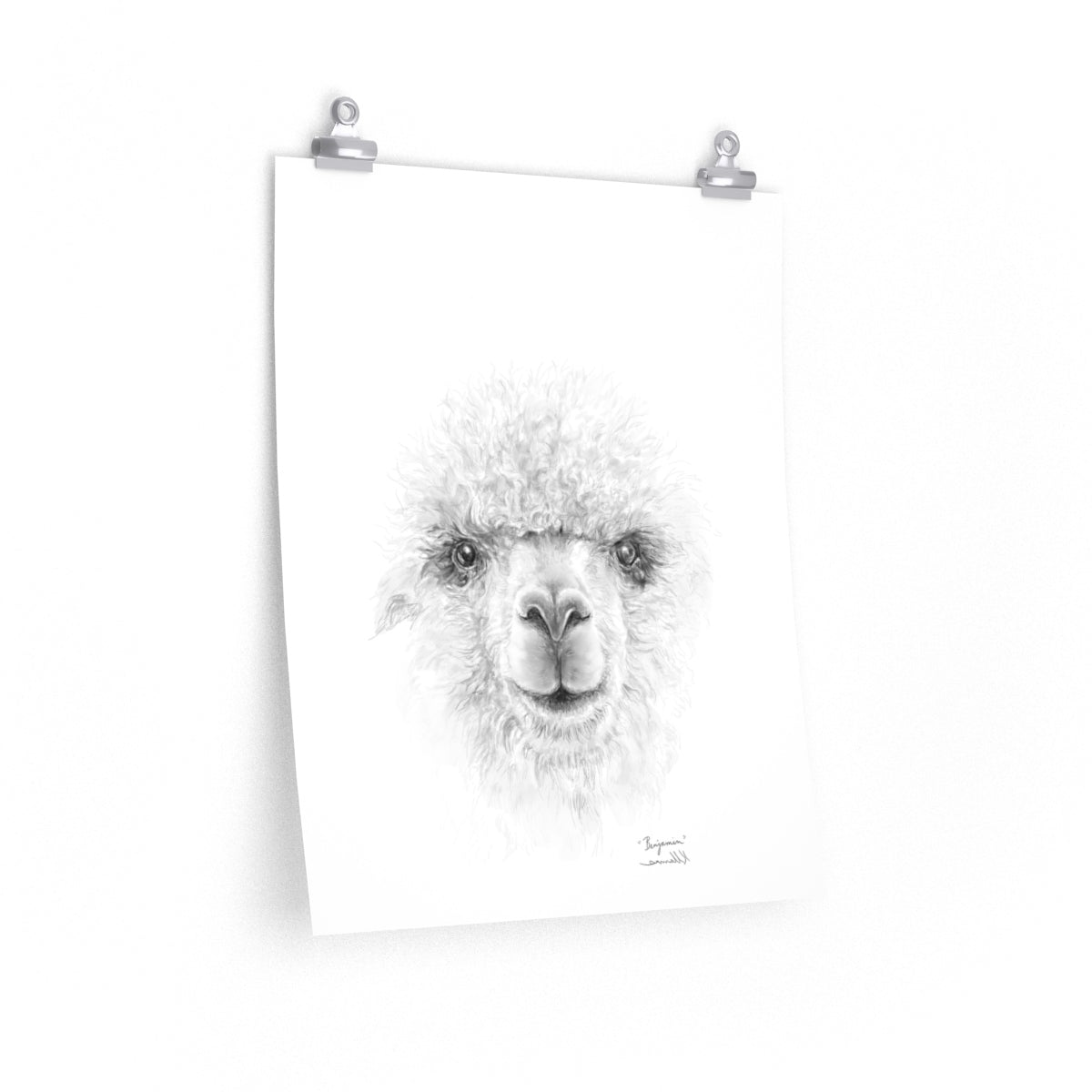 BENJAMIN Llama- Art Paper Print