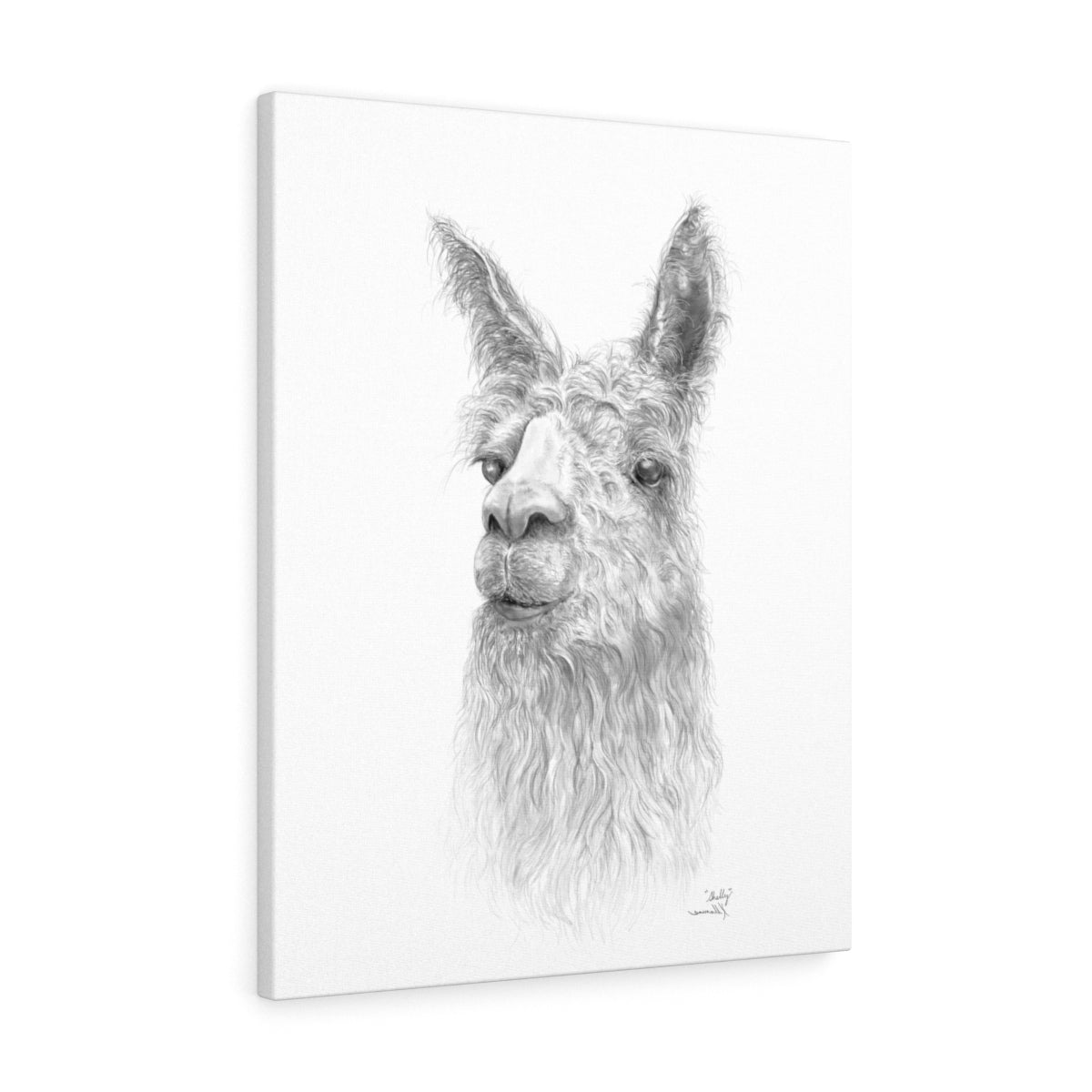 Shelly Llama- Art Canvas
