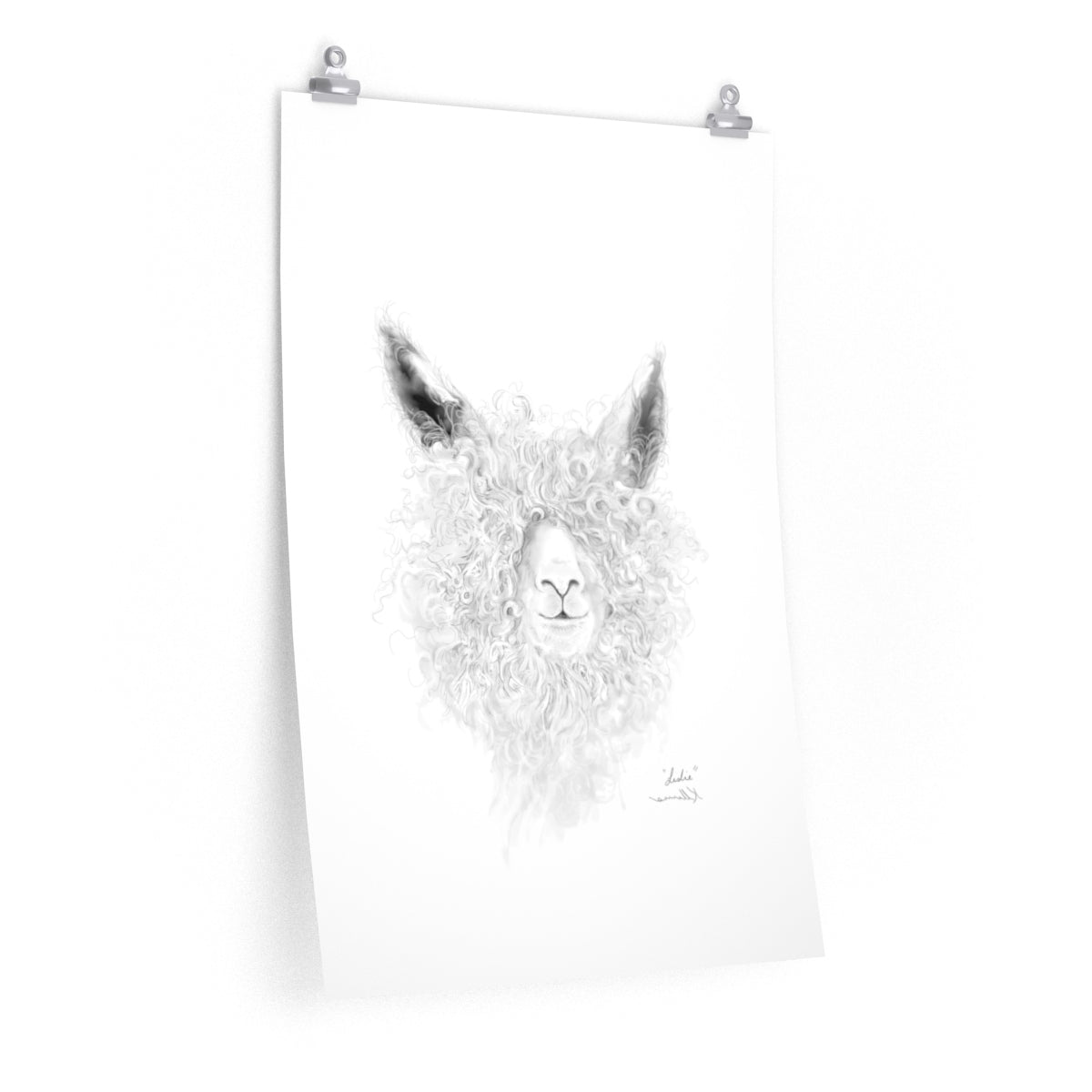 LESLIE Llama- Art Paper Print
