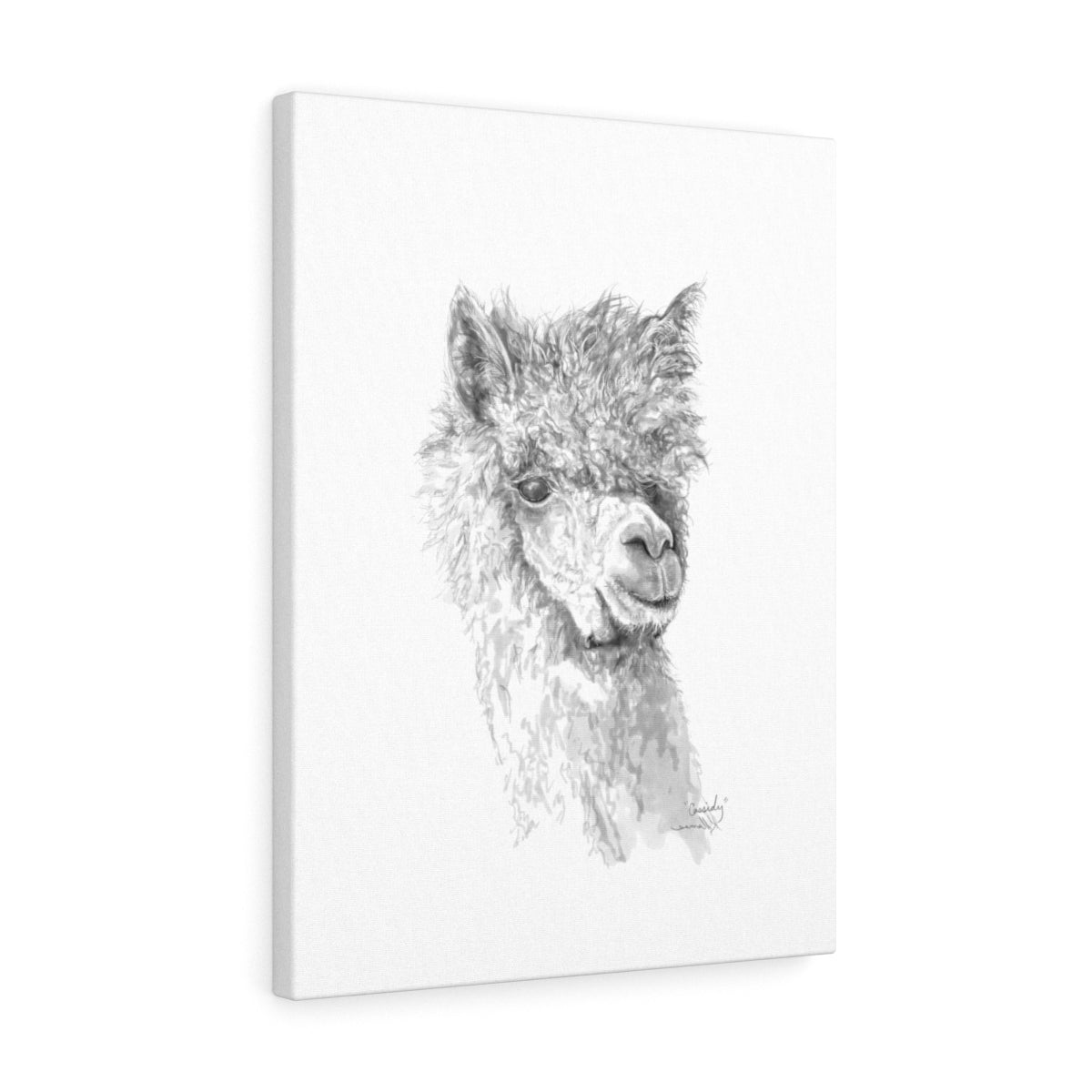 CASSIDY Llama - Art Canvas