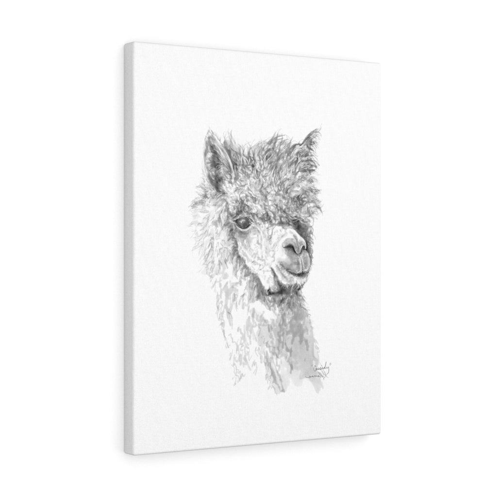 CASSIDY Llama - Art Canvas