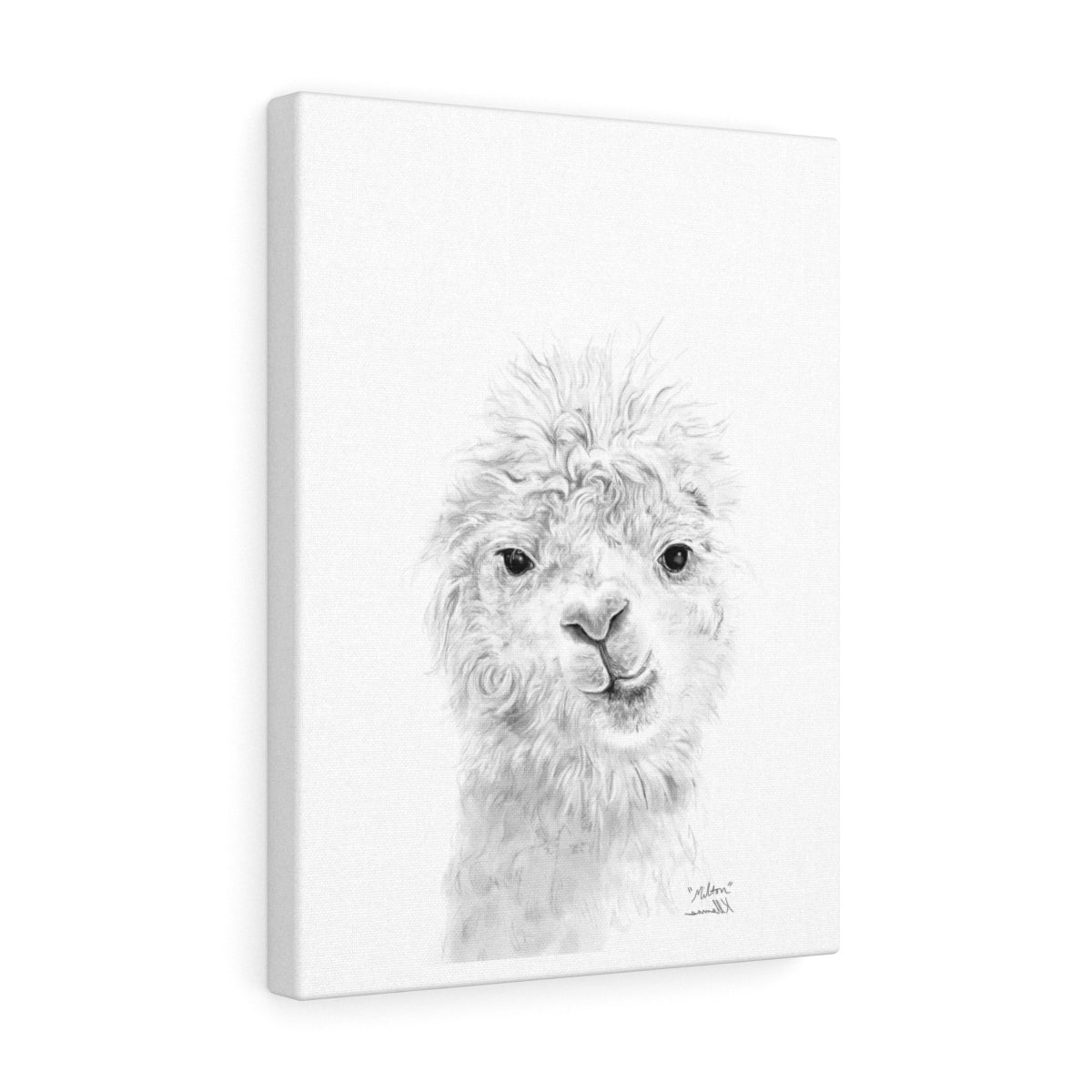 MILTON Llama - Art Canvas