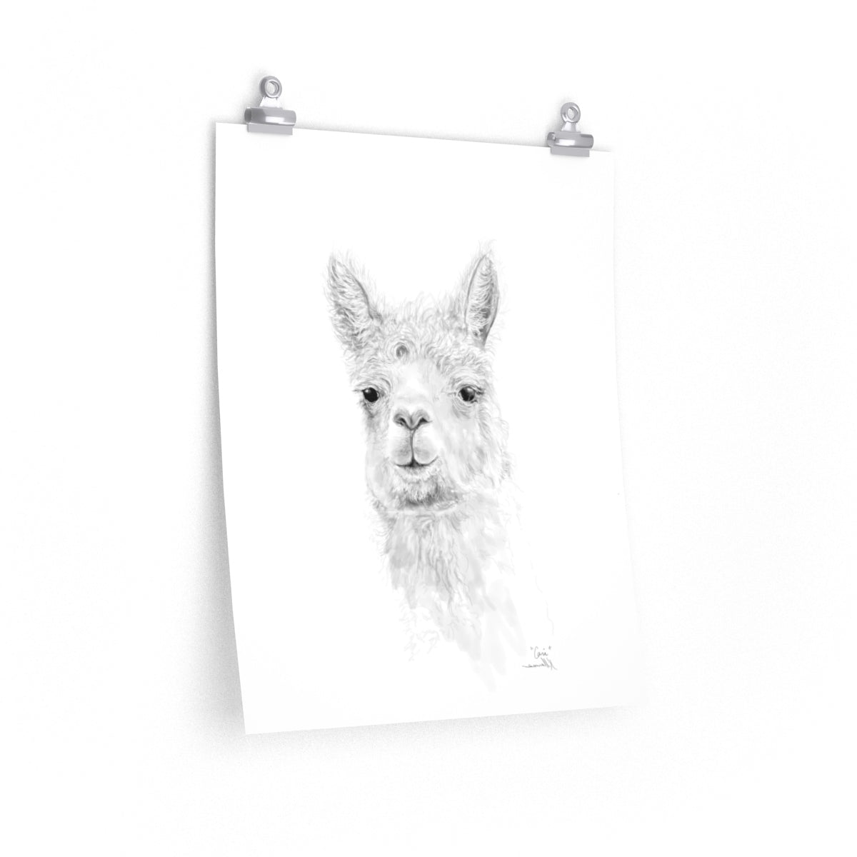 CARI Llama- Art Paper Print