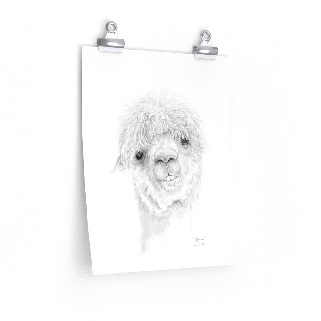 HOUZER Llama- Art Paper Print