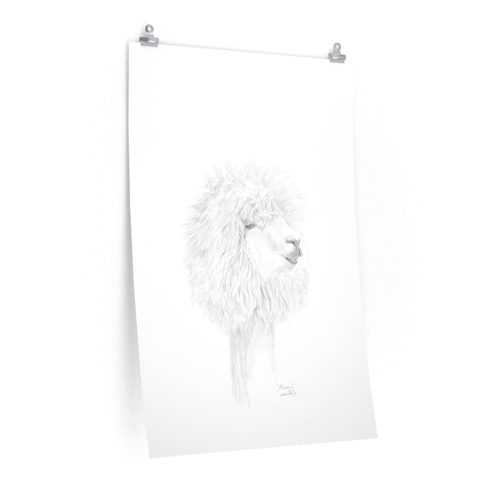 MIRIAM Llama- Art Paper Print