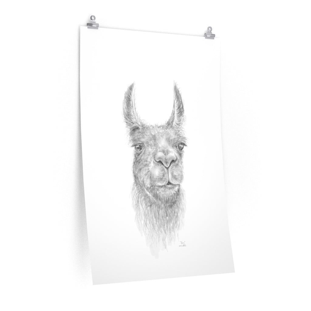 EVAN Llama- Art Paper Print