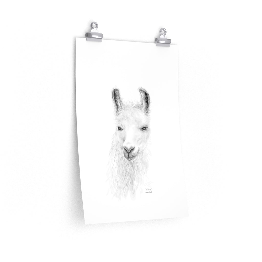 ALISHA Llama- Art Paper Print