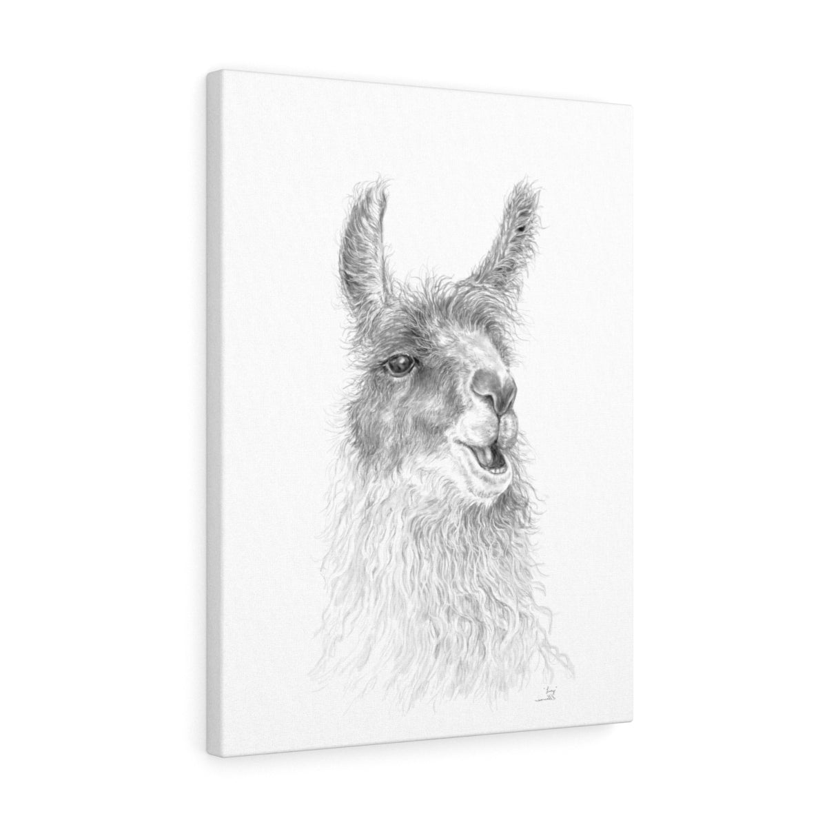LUCY Llama - Art Canvas