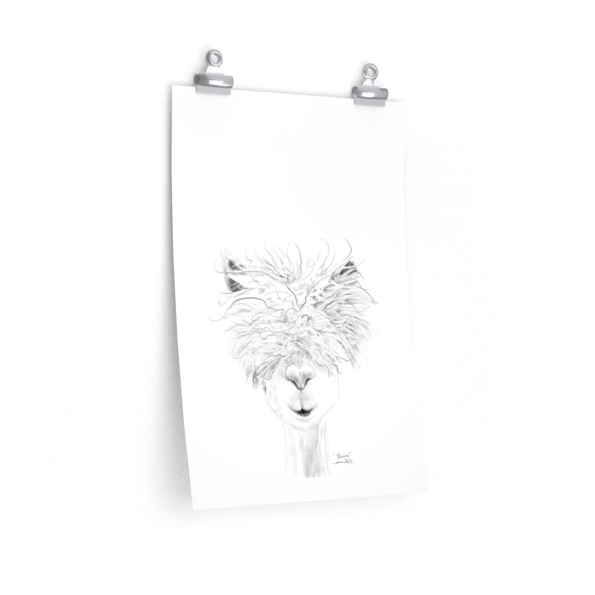 BRUCE Llama- Art Paper Print