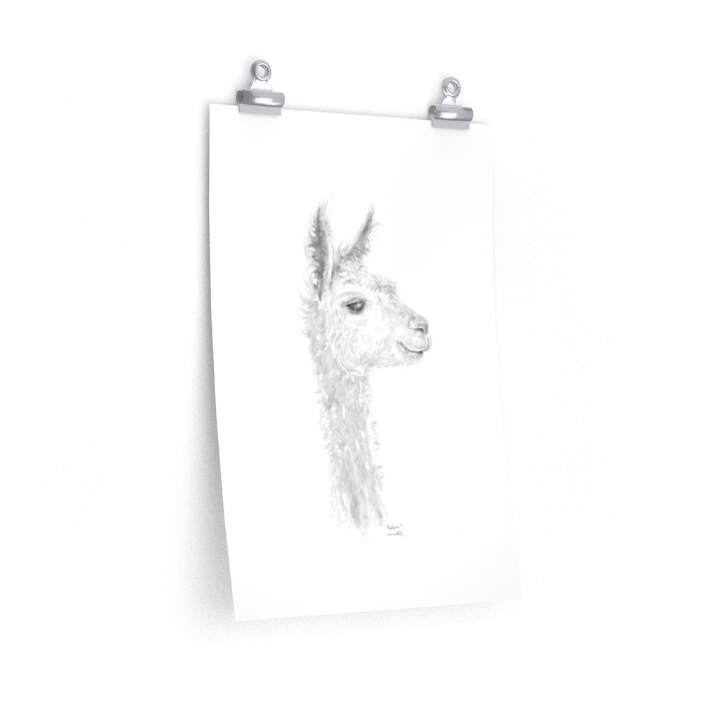 MADISON Llama- Art Paper Print
