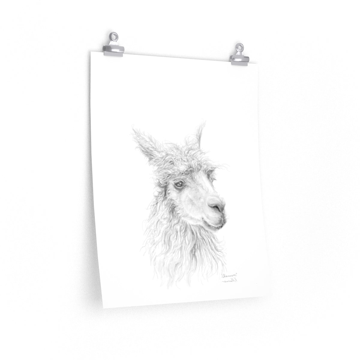 SHANNON Llama- Art Paper Print