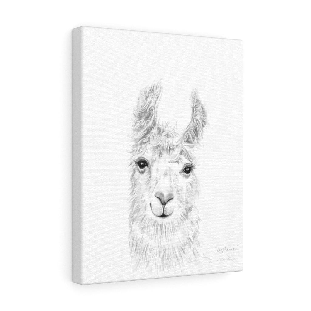 STEPHANIE Llama - Art Canvas
