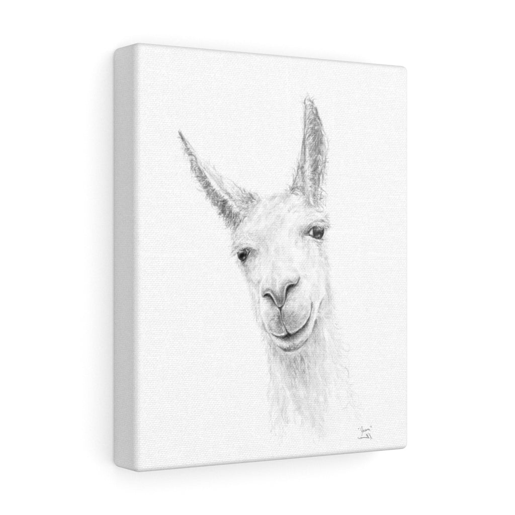JASON Llama - Art Canvas
