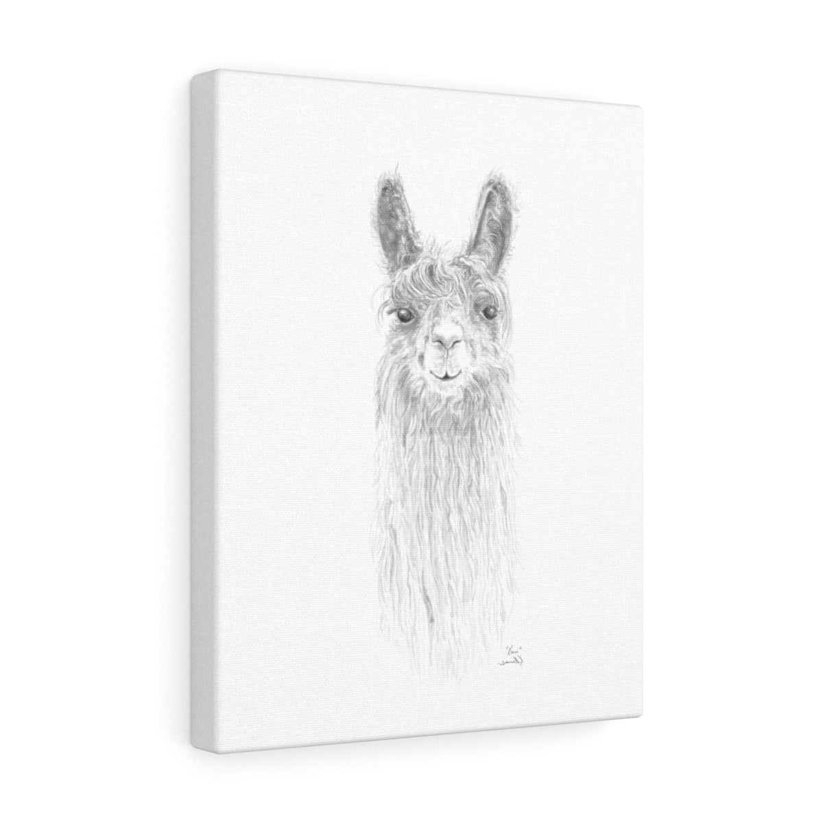 KARI Llama - Art Canvas