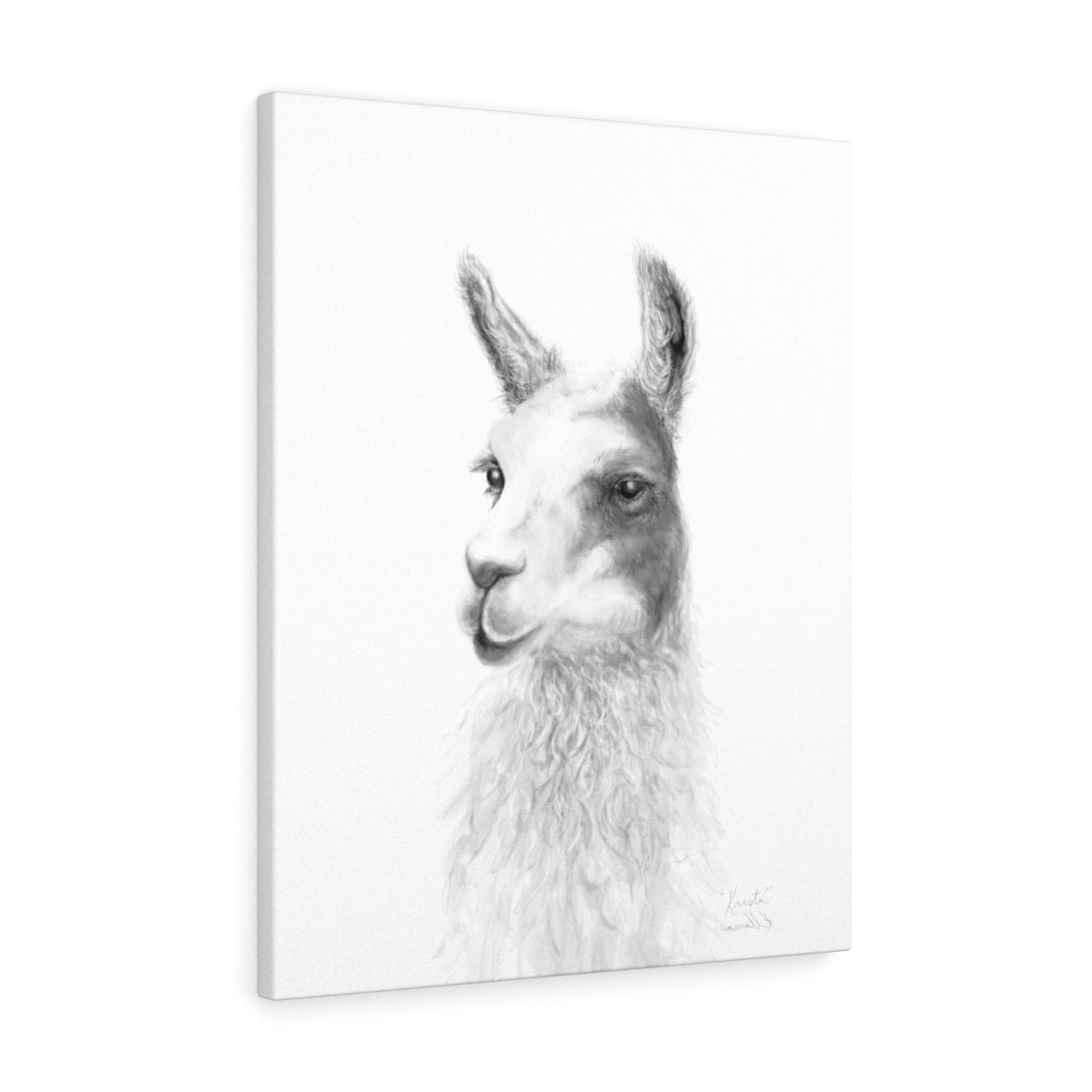 KRISTA Llama - Art Canvas