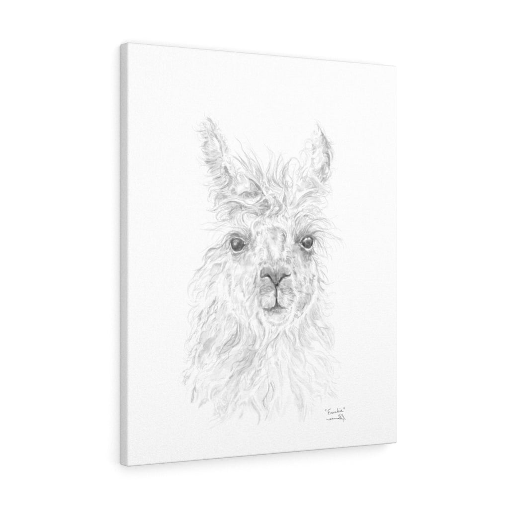 FRANKIE Llama - Art Canvas