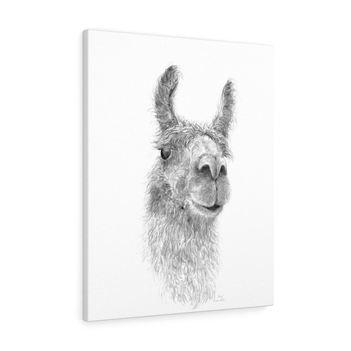 ADREA Llama - Art Canvas