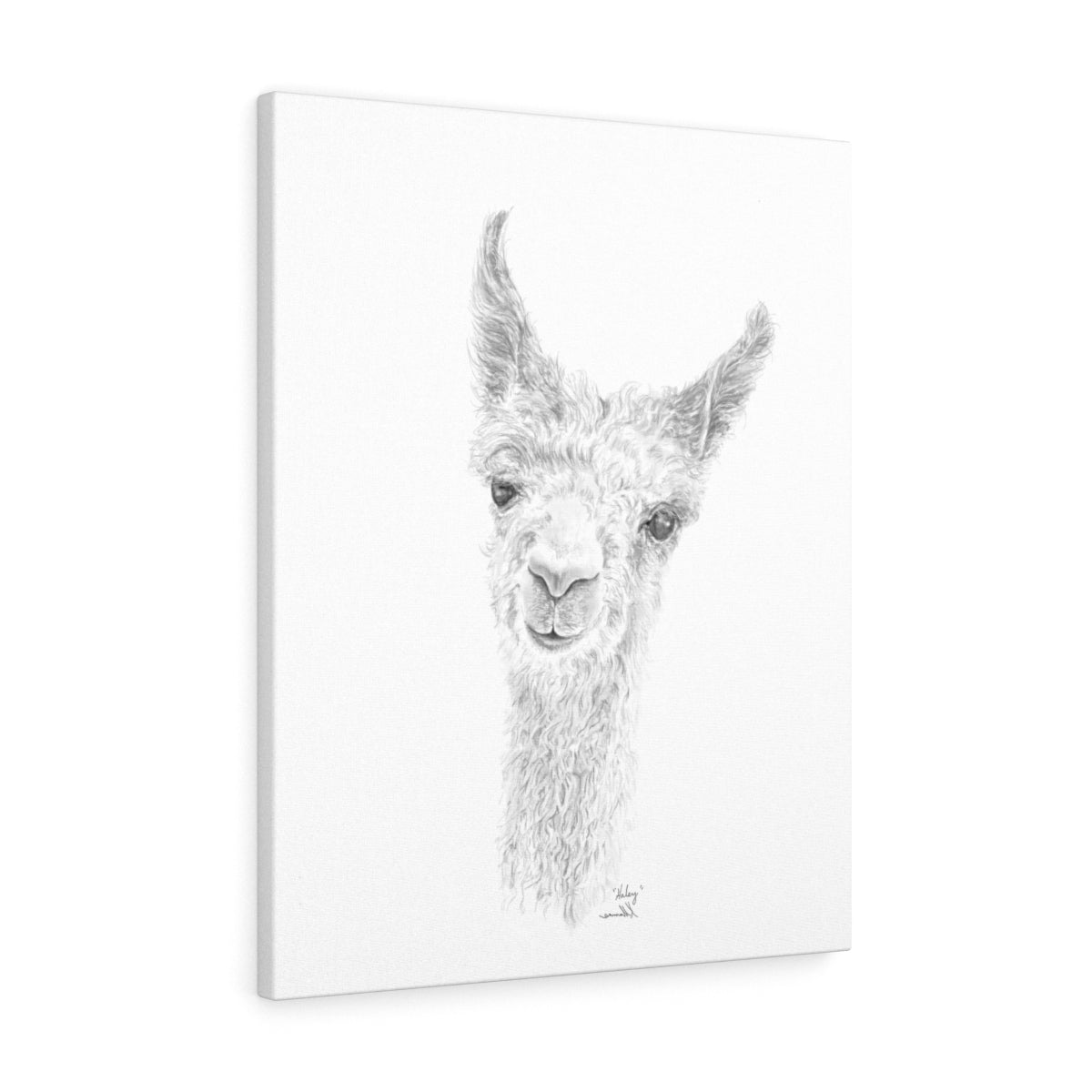 HALEY Llama - Art Canvas
