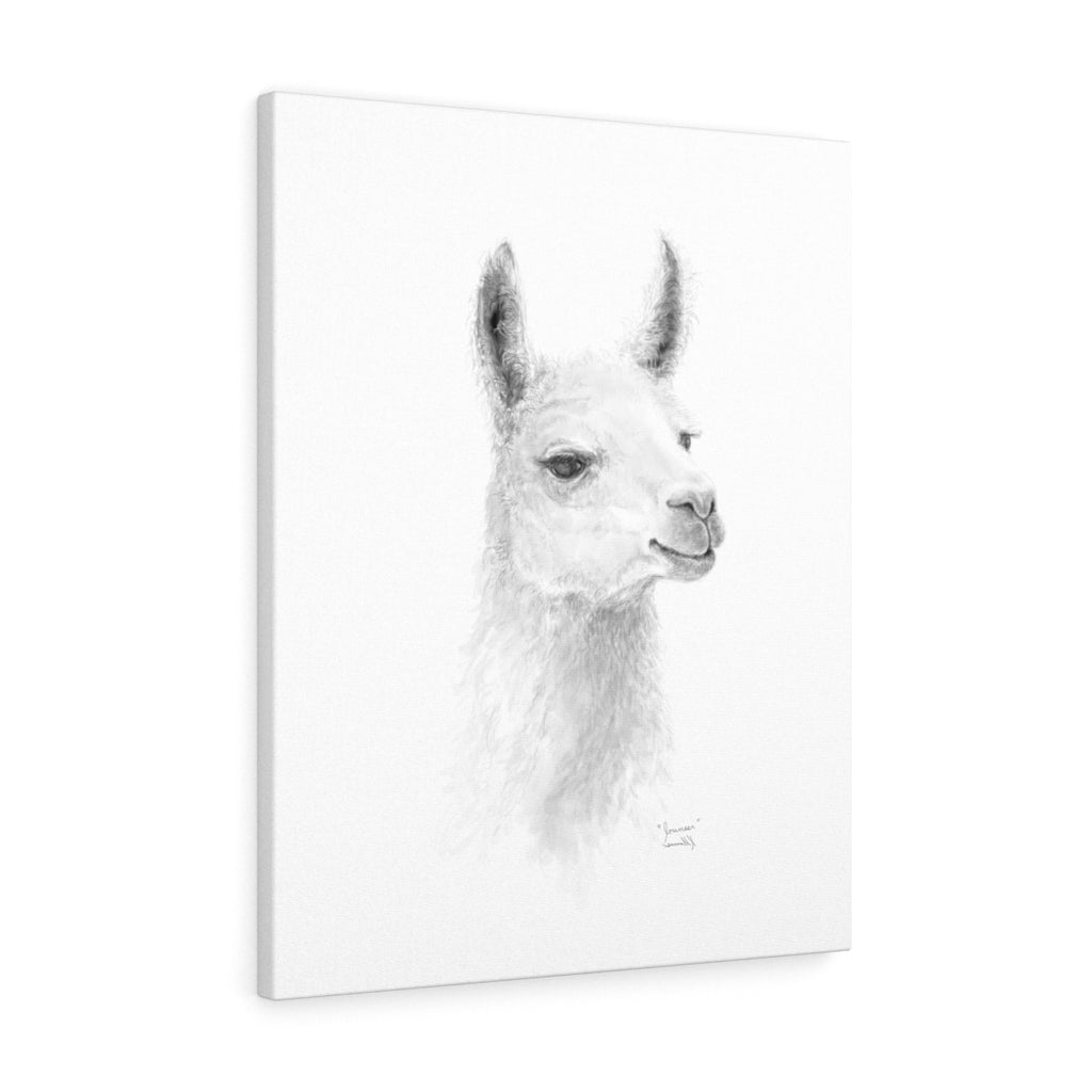 JOUNEER Llama - Art Canvas
