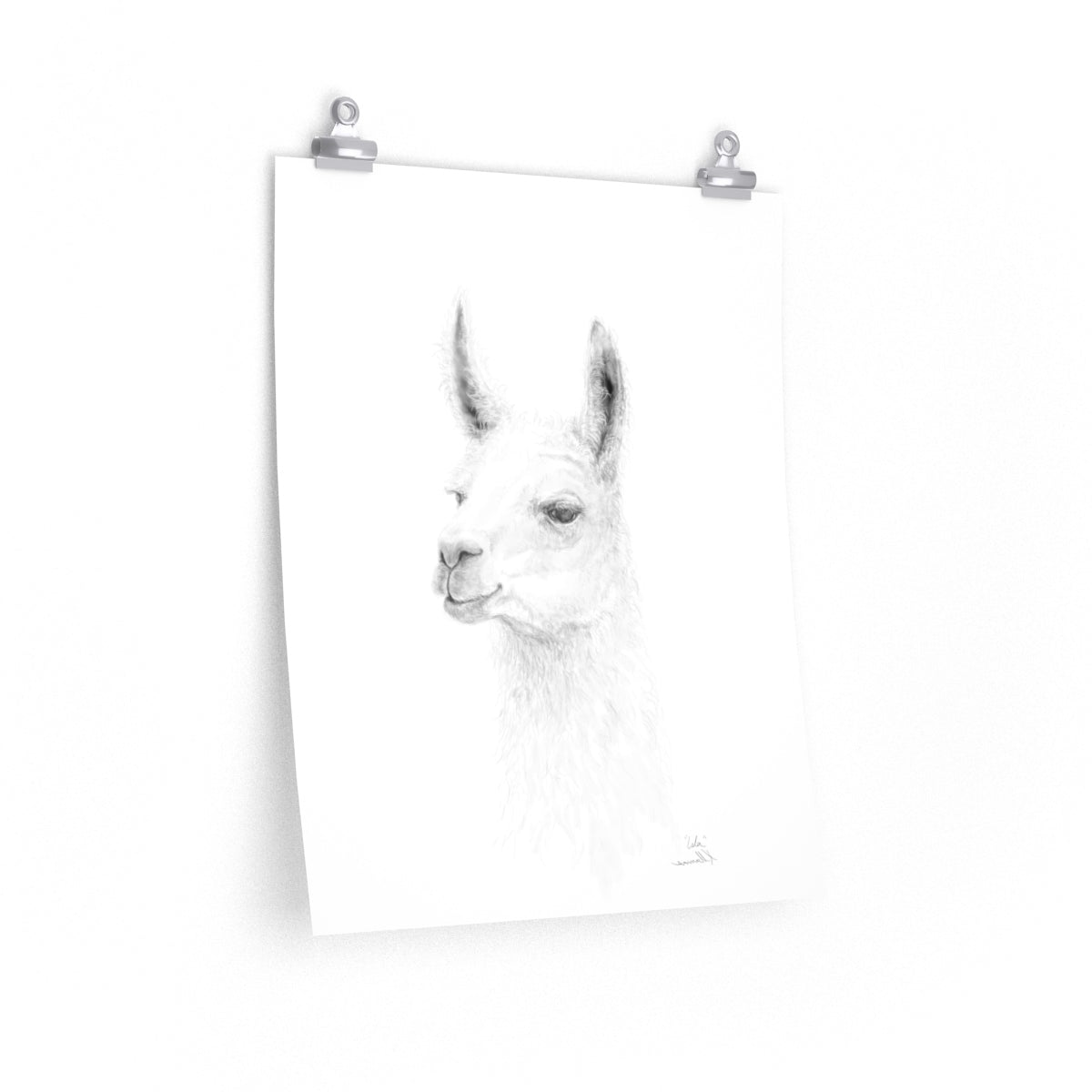 ISLA Llama- Art Paper Print
