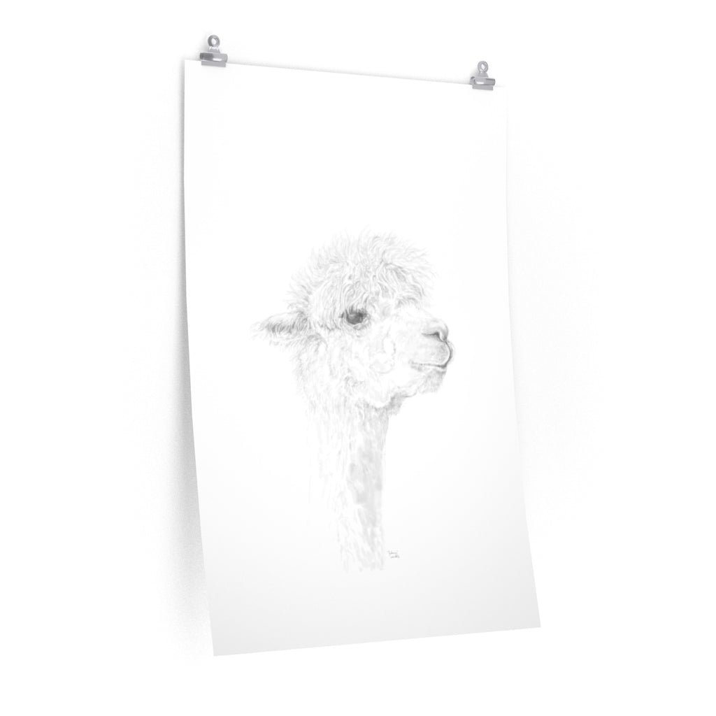 JULIANA Llama- Art Paper Print