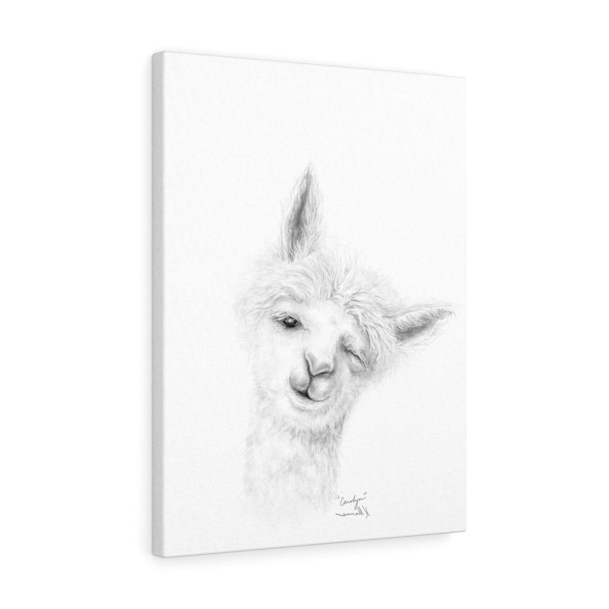 CAROLYN Llama - Art Canvas