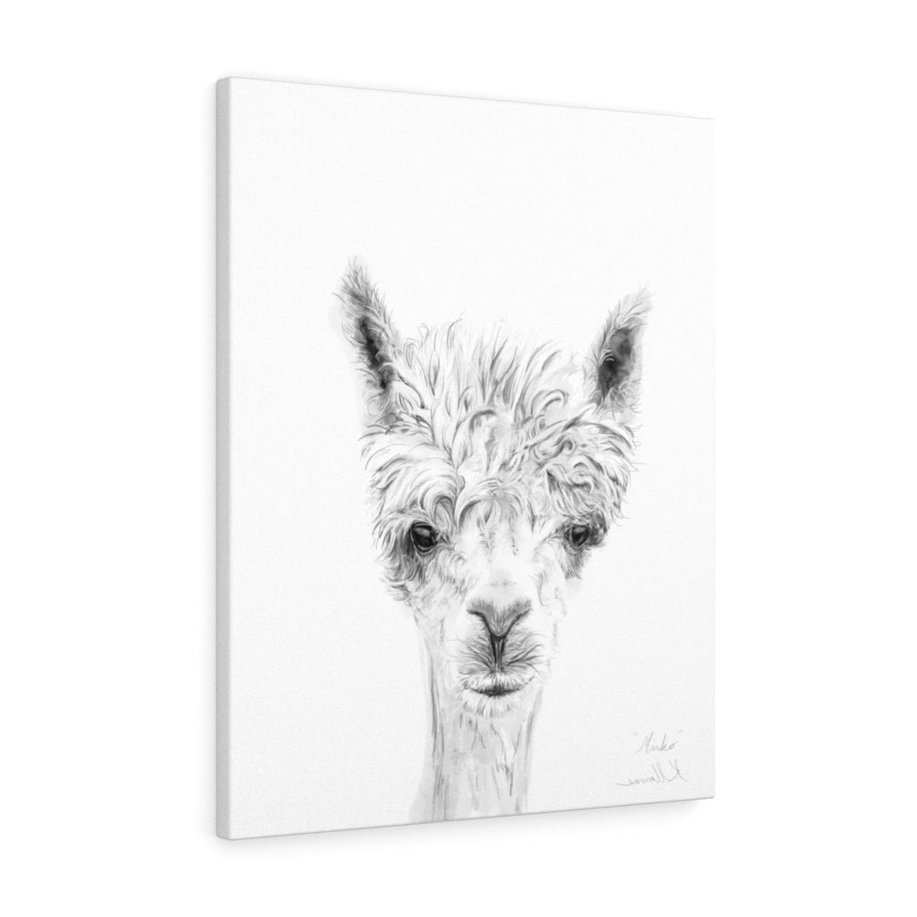 MIRKO Llama - Art Canvas