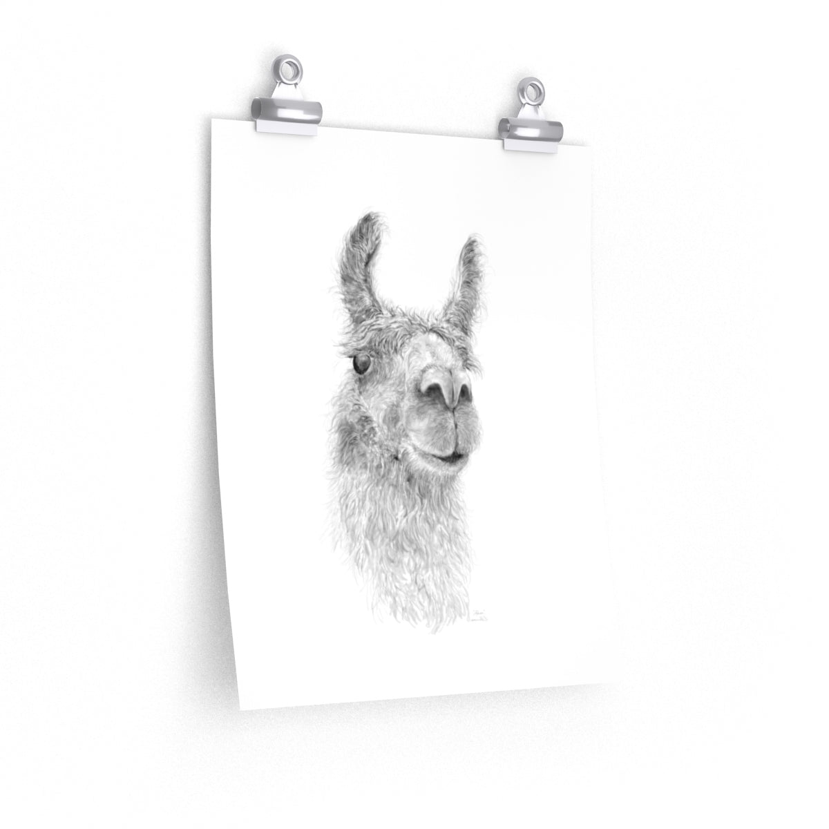 ADREA Llama- Art Paper Print
