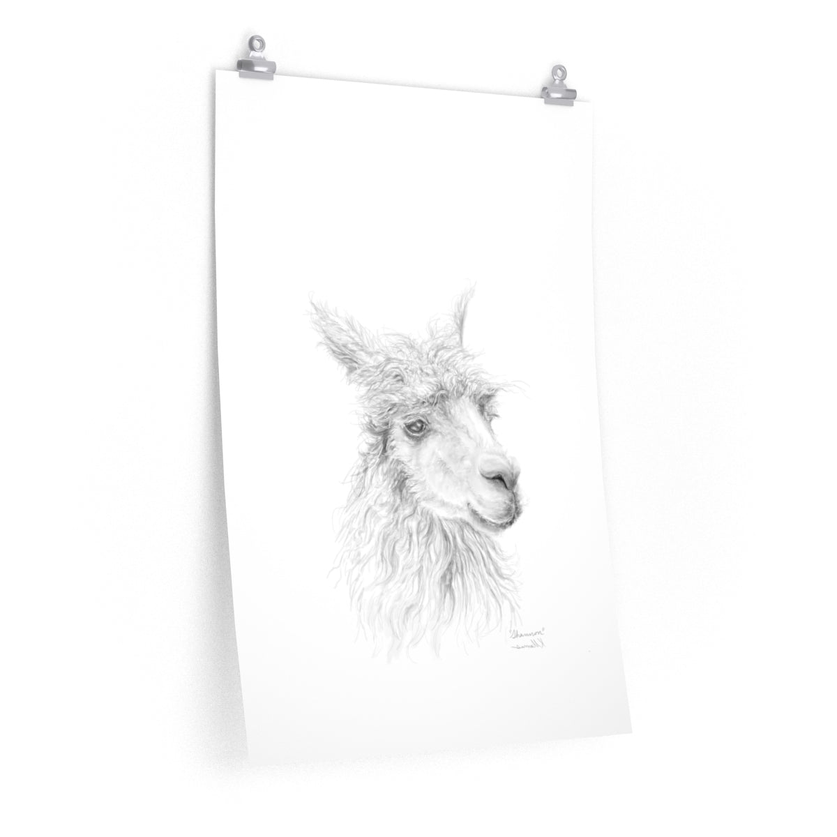 SHANNON Llama- Art Paper Print
