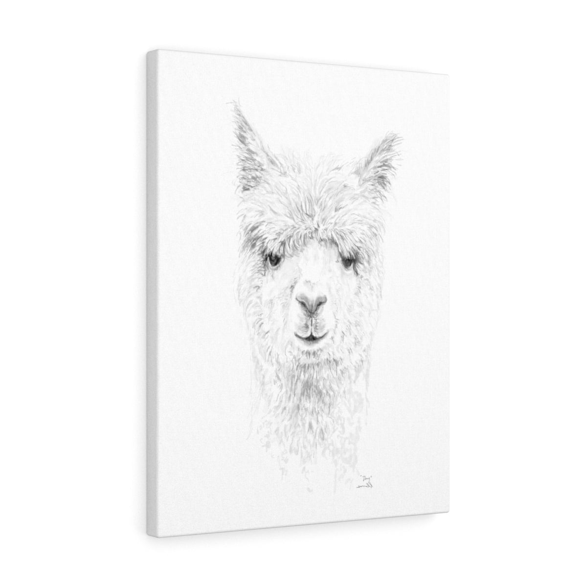 DOUG Llama - Art Canvas