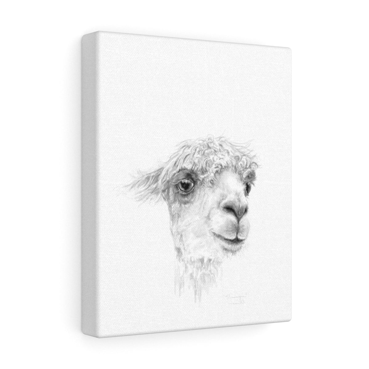 DOMINIQUE Llama - Art Canvas