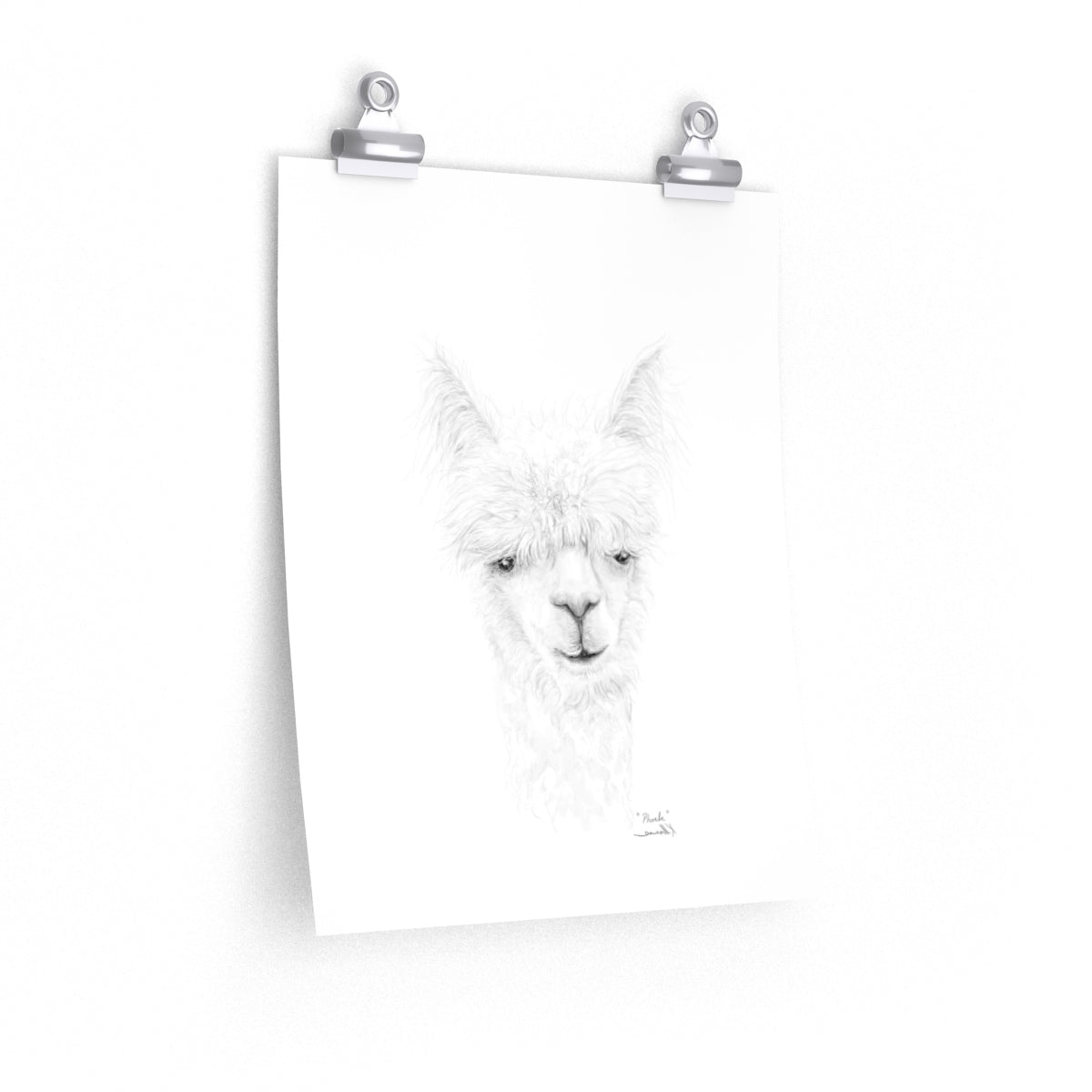 PHOEBE Llama- Art Paper Print
