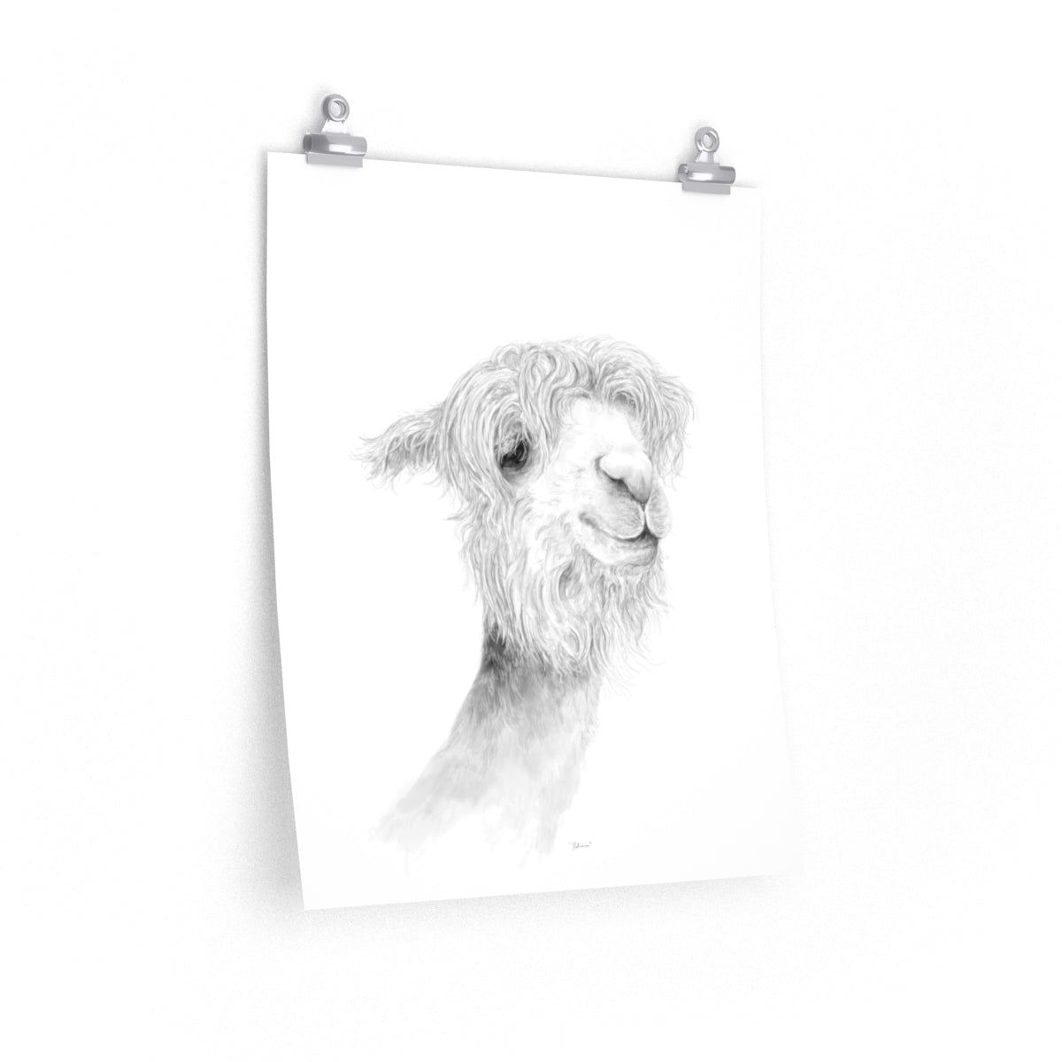 PATRICIA Llama- Art Paper Print